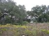 1537 Partridge Blvd. photo
